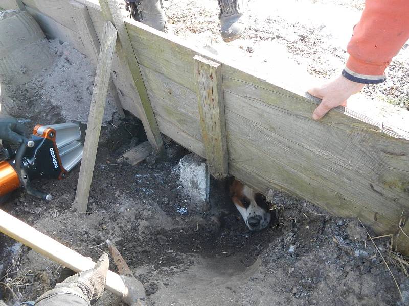 Hasiči pomáhali vyprostit psa zaklíněného pod chodníkem v Jarošově nad Nežárkou.