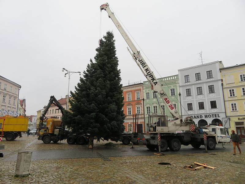 Dvanáctimetrová jedle ojíněná putovala v pondělí 22. listopadu z Mnichu u Kardašovy Řečice do centra Jindřichova Hradce. Ozdobí ji dvoukilometrový světelný řetěz.