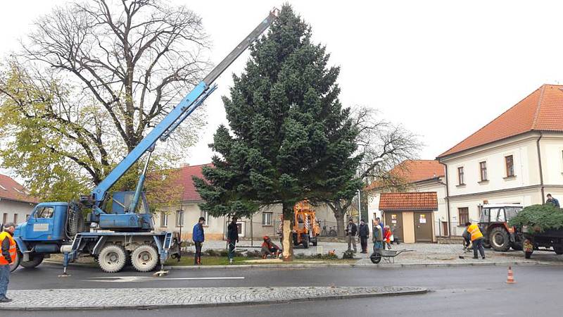 V Suchdole nad Lužnicí už mají na náměstí připravený vánoční strom. Rozsvítí jej o první adventní neděli.