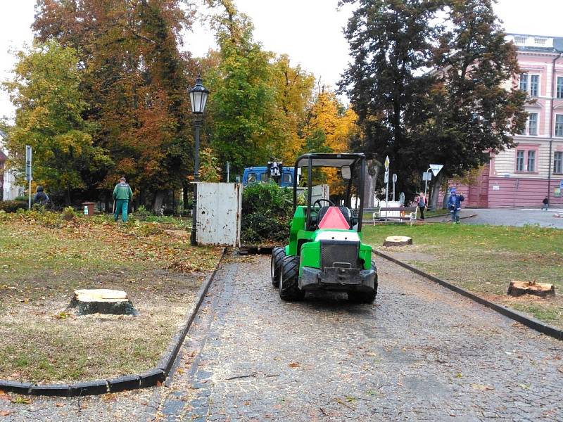 Smutný pohled na pařezy kaštanů v rámci započaté revitalizace Husových sadů v J. Hradci. Zároveň je ale vidět, že stromy opravdu nebyly v nejlepší zdravotní kondici. 