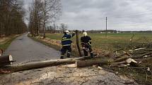 Dobrovolní hasiči z Lomnice nad Lužnicí opakovaně vyjížděli odstraňovat padlé stromy na silnici ve směru na Záblatí. 