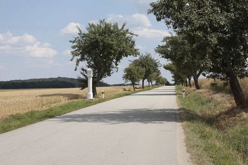 Celkové náklady na zhotovení repliky byly 94 600 Kč a z toho příspěvek kraje (dotace) činil 50 000 Kč.