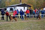 Kynologický klub v Jindřichově Hradci v sobotu pořádal Krajskou speciální výstavu německých ovčáků, kde se sešlo na pět desítek předváděných zvířat.