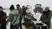 Rodinná plantáž s vánočními stromky několika druhů je otevřená od soboty 11. prosince denně. Zájemci si zde u Smetanových mohou vybrat vždy od 9 do 12 a od 13 do 16 hodin.