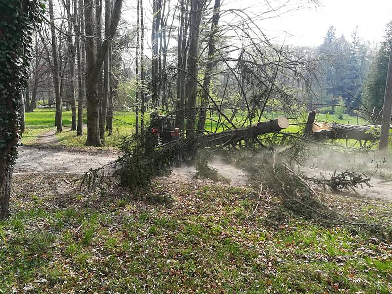 Při úterní vichřici se dobrovolní hasiči z Chlumu u Třeboně nezastavili.