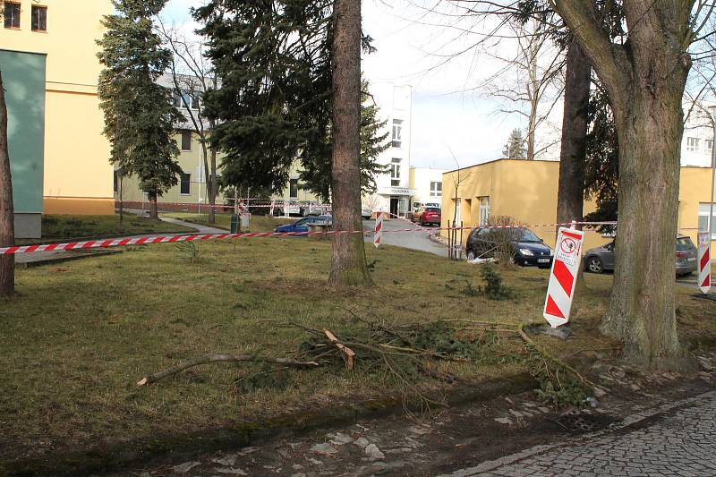 Pondělní vítr lámal větve stromů v areálu jindřichohradecké nemocnice.