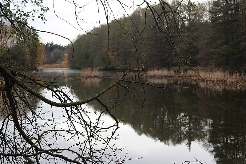 Romantickou krajinu tvoří Nadějská  rybniční soustava u obce Klec na Lomnicku.