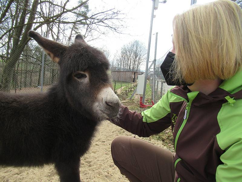 Velikonoce v Zoo Na Hrádečku.