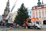 Kácení vánočního stromu pro Hradec letos zkomplikovala jeho poloha ve svahu. Nakonec se vše podařilo a jedle už stojí na náměstí Míru.
