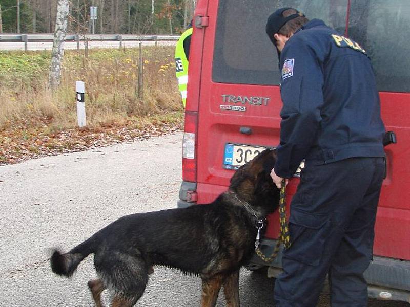 Inspektorát cizinecké policie J. Hradec. Nasazení služebního psa.