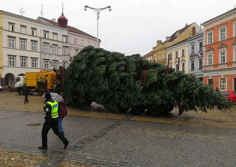 Dvanáctimetrová jedle ojíněná putovala v pondělí 22. listopadu z Mnichu u Kardašovy Řečice do centra Jindřichova Hradce. Ozdobí ji dvoukilometrový světelný řetěz.