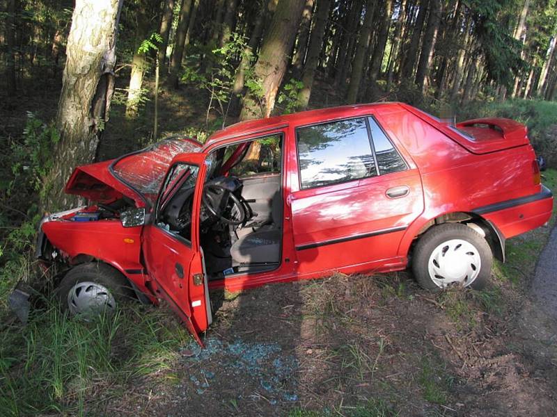 U Dačic auto narazilo do dvou stromů. Dva lidé se zranili. 