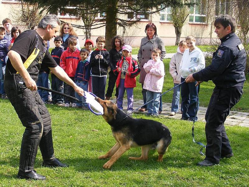 Ukázky výcviku policejních psů pro Základní, mateřskou a praktickou školu v Jindřichově Hradci.