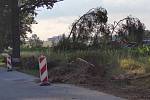 Silná bouřka na Jindřichohradecku tento týden lámala a vyvracela stromy. U Pluhova Žďáru vývraty poškodily i silnici. Popadané stromy a větve jsou i na trase na Červenou Lhotu.
