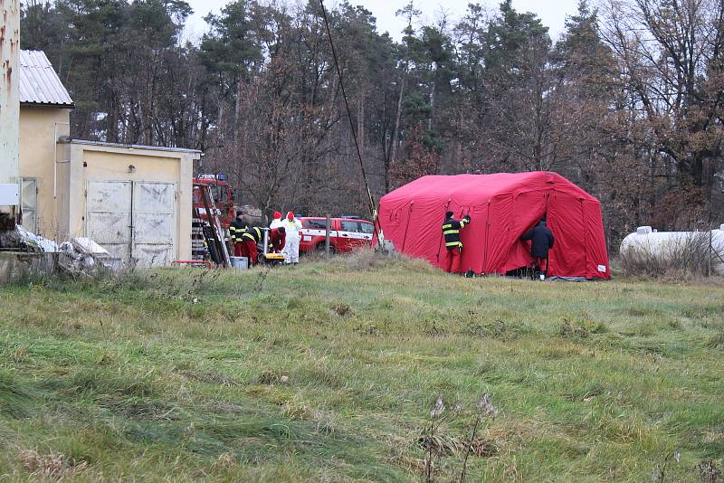 Utrácení kachen v chovu ve Frahelži na Jindřichohradecku.