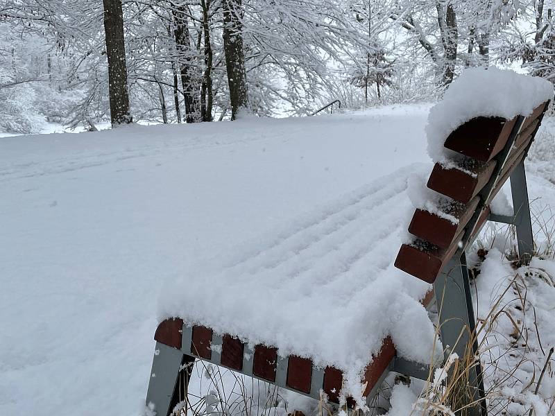První vydatnější sněžení letošní zimy na Třeboňsku..