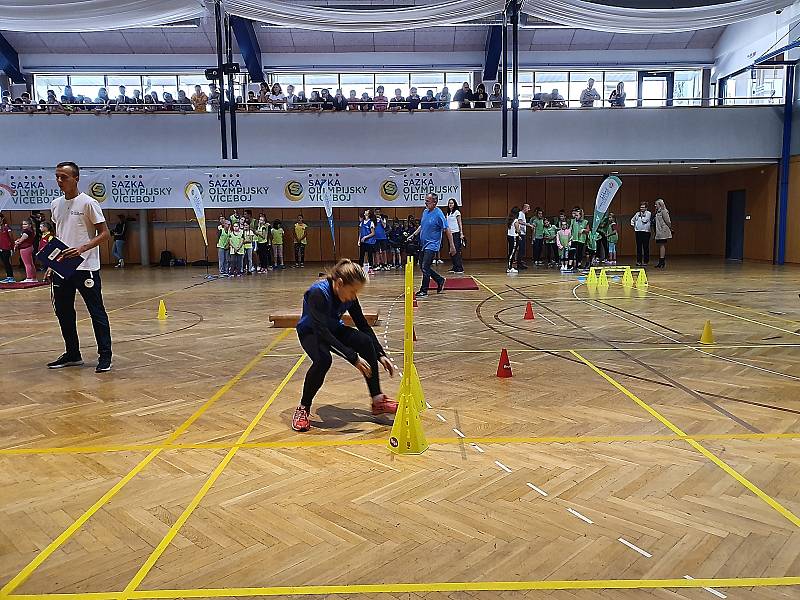 Děti ze Základní školy Na Sadech v Třeboni si společně zatrénovaly s účastníky olympijských her.