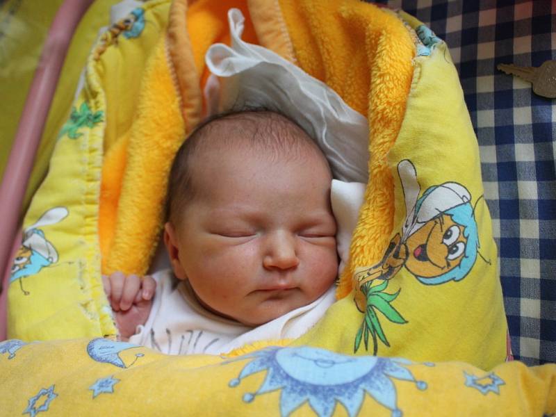 Anežka Dohnalová  se narodila 14. října v 1 hodinu a 15 minut Veronice Růžičkové a Martinu Dohnalovi z Nové Bystřice.  Vážila  3440 gramů a měřila  51 centimetrů. 