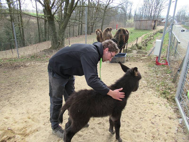 Velikonoce v Zoo Na Hrádečku.