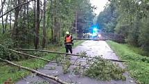 Následky bouřky na jihu Čech v noci z pátku na sobotu budou lidé ještě nějaký čas odstraňovat.Stromy v Hrdlořezech na Suchdolsku.