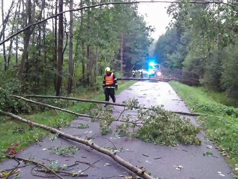Následky bouřky na jihu Čech v noci z pátku na sobotu budou lidé ještě nějaký čas odstraňovat.Stromy v Hrdlořezech na Suchdolsku.
