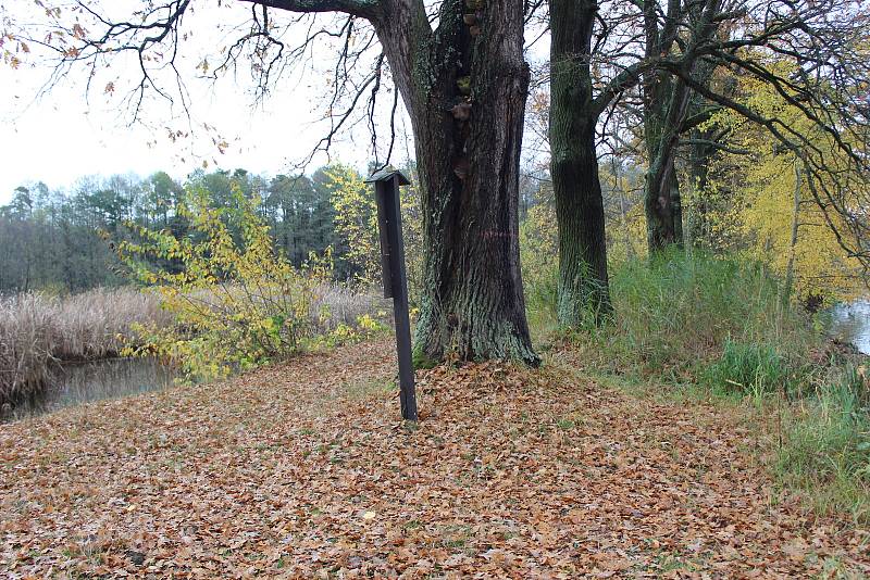 Romantickou krajinu tvoří Nadějská  rybniční soustava u obce Klec na Lomnicku.