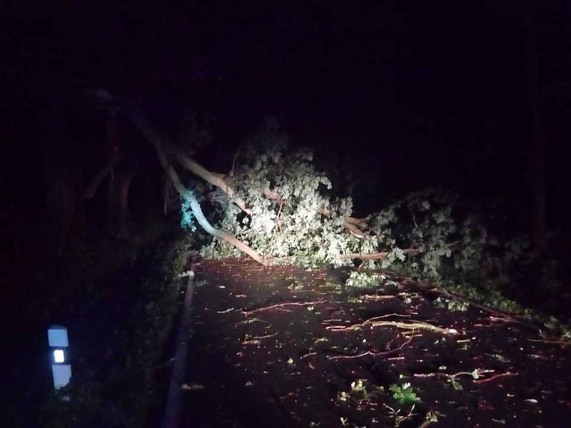 Od noci se nezastavili ani dobrovolní hasiči z Lomnice nad Lužnicí.