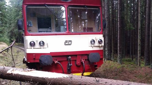 Na koleje u Bystřice spadl strom. Železniční trať už je znovu průjezdná