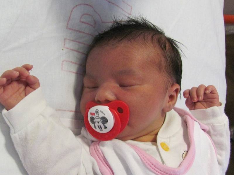 Viktorie Anife Siváková se narodila 14. října Veronice Sivákové z Hluboké. Měřila 49 centimetrů a vážila 3560 gramů. 
