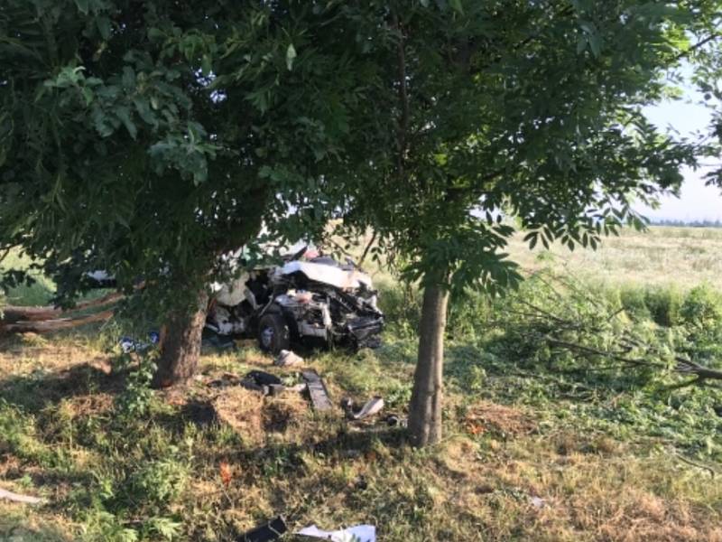 U Děbolína na Jindřichohradecku narazila dodávka do stromu. Spolujezdkyně na místě zemřela.