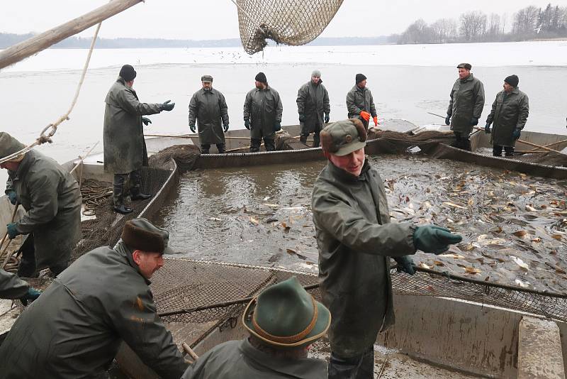 Výlov Opatovického rybníka v Třeboni