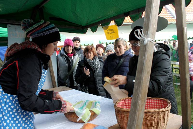 Vánoční otevřený dvůr v Plasné přiláká každoročně stovky návštěvníků. 