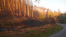 Pohled na ohněm zničený národní park je smutný.