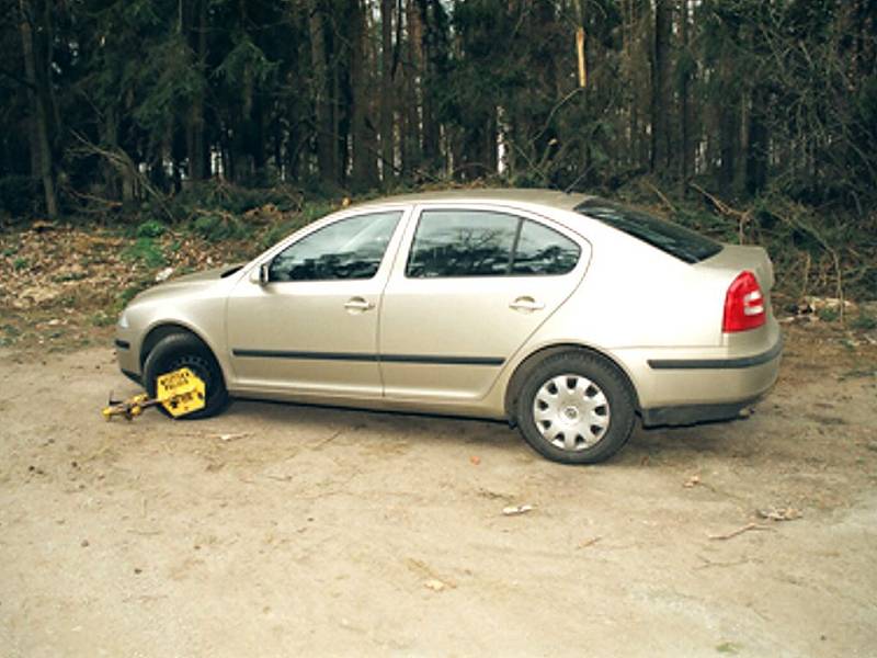 Auto zavražděného muže nalezené na odpočívadle mezi Lomnicí nad Lužnicí a Veselím nad Lužnicí.