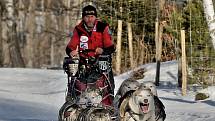 Po sedmi letech se dočkali  mašéři a jejich psi sněhu. Závod s patnáctiletou tradicí měl smůlu na počasí. Letos se karta obrátila.