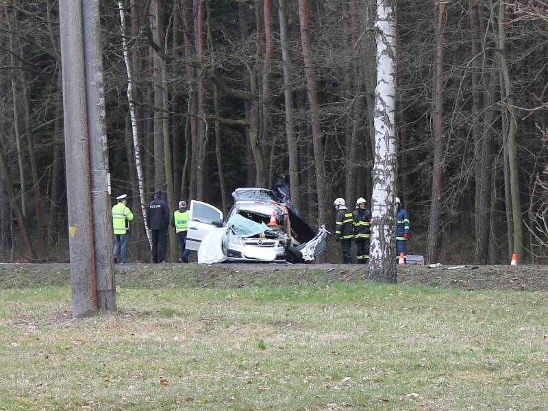 U Lásenice se střetlo osobní auto s kamionem. Jedna osoba v autě na místě zemřela, druhá byla těžce zraněná. 