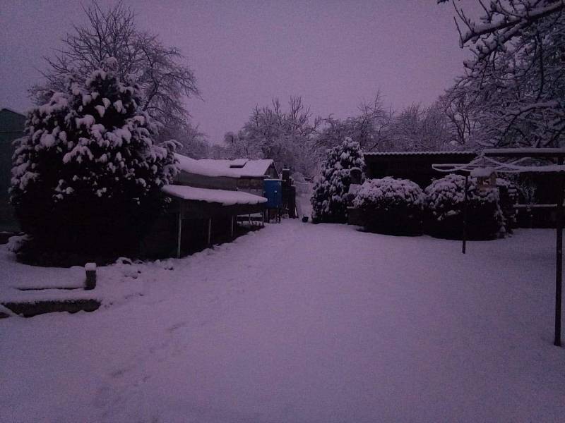 Pondělní sníh v Hostkovicích.