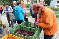 Zákazníci na farmářských trzích v Hradci nakupovali především ovoce a zeleninu.