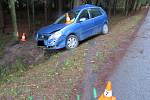 Při dopravní nehodě u Blažejova narazilo auto do stromu.