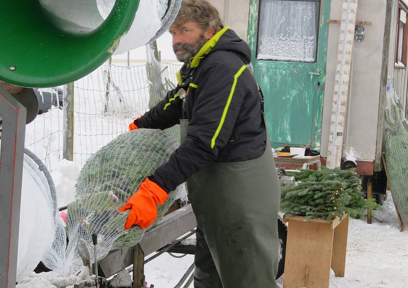 Rodinná plantáž s vánočními stromky několika druhů je otevřená od soboty 11. prosince denně. Zájemci si zde u Smetanových mohou vybrat vždy od 9 do 12 a od 13 do 16 hodin.