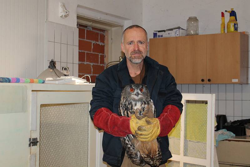 Třeboňská záchranná stanice je "domovem" pro zraněné volně žijící živočichy.