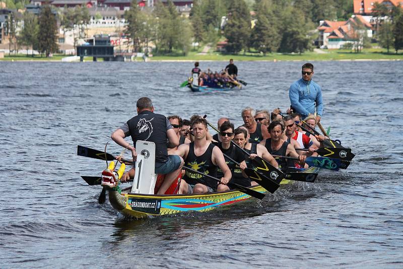 Jindřichohradecké posádky dračích lodí se ze závodů na Lipně vrátili s medailemi. Mix Vajgarská saň a ženy Vajgarské sirény berou bronz, junioři Vajgarské kachny utvořili tým s Kadaní a celé klání vyhráli.