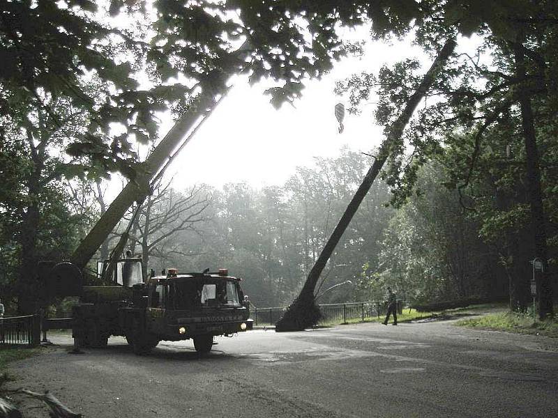 Třeboňští rybáři odstraňovali z rybníka Svět u bezpečnostního přelivu spadlý strom. 