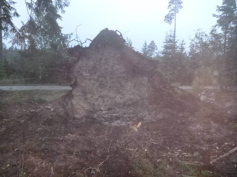 Hasiči v Suchdole nad Lužnicí museli zasahovat u popadaných stromů po bouřce z noci na pátek.