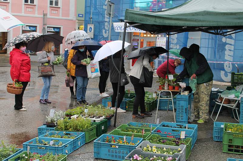 Páteční počasí farmářskému trhu v Jindřichově Hradci nepřálo.