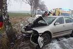 Auto u Kostelní Radouně vyjelo ze silnice a narazilo do stormu. Zraněného řidiče transportoval vrtulník záchranářů.