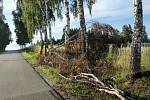 Silná bouřka na Jindřichohradecku tento týden lámala a vyvracela stromy. U Pluhova Žďáru vývraty poškodily i silnici. Popadané stromy a větve jsou i na trase na Červenou Lhotu.