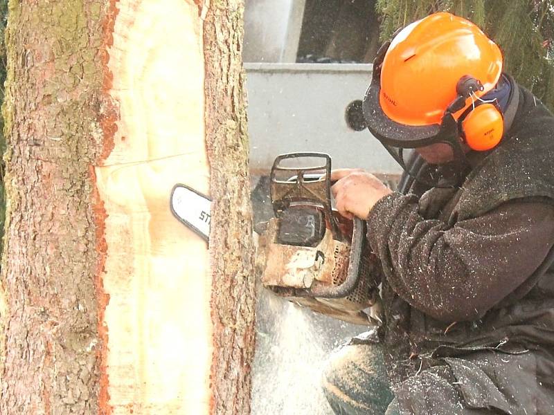 Náměstí Míru v Jindřichově Hradci bude o letošním adventu zdobit stříbrný smrk.