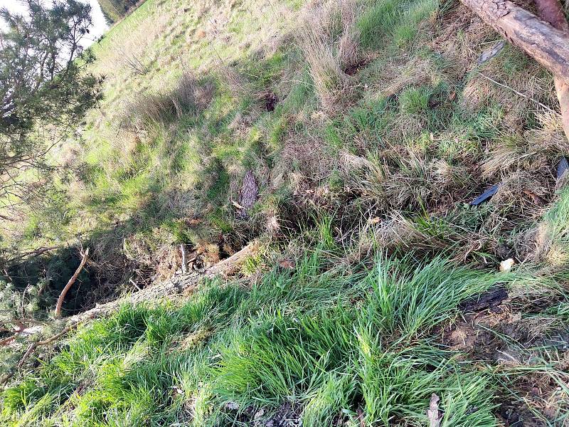 Pohled na místo tragické nehody na spojce z Jarošova na Dolní Radouň u Hánovského rybníka. V podvečer 3. května řidička s autem narazila do jedné z borovic, vůz se převrátil na střechu a žena zraněním podlehla.