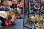 Za dětmi z třeboňské základní školy v Sokolské ulici přijela návštěva ze zoo. Foto: Radka Škulaviková